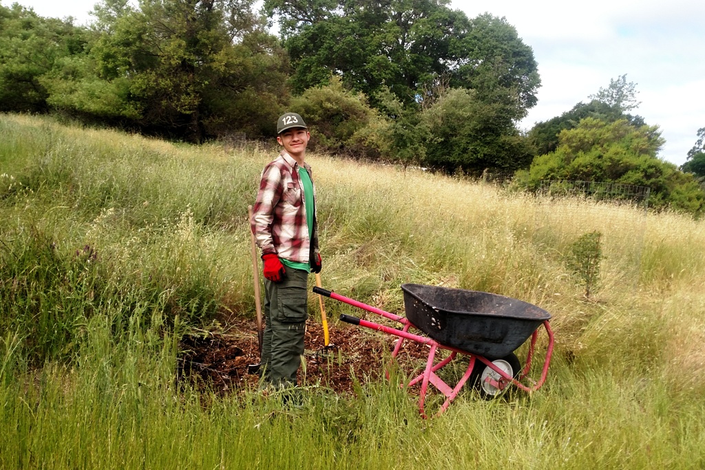 Robert loading the wheelbarrow with mulch.